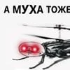 Летящая муха