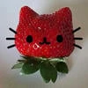 Code_cat_pip