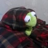 El_Nort