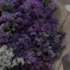 Lavender8
