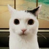 Ksurpo_0