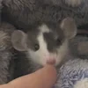 всего лишь корка хлеба
