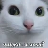 kriCa_scream