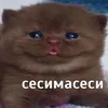 lilole4ka