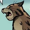 WarriorCatWind