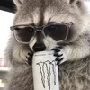Теринс