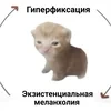 allmssay