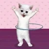 Мятная котлета