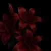 Darkromantic