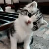 Itz.Dasha