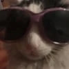 Стэнбро Канон