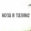 кашача мя та