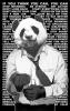 Mr. Panda
