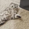 Бабушка вещает внукам