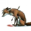 Vulpes_ss