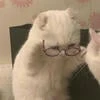 Mmmmmimka