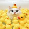 MeOwOKitty