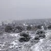 Единая Россия