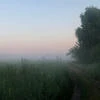 FoggyPass