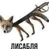 Magicfox 666