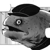 shiper_Vampir2000