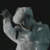 lycoris_death