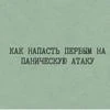 Сяо_Ёжик