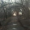 Карманный Поэт