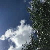 Не подвластен времени и пространству