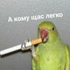 _Опарыш_