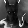 Anubis_ Dennitsa