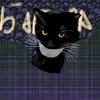 Basia The cat
