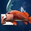 G_l_i_s_t