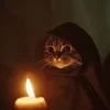 katerpiller