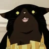 Shini Shadow