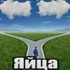 Лиля дура.