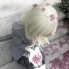 Blueberry_fantasy