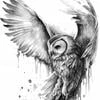 Bipolar owl