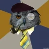 Hamster_Owl