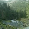 Клесина