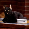 Salem4ick
