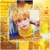 Yellow Fox