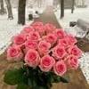 Ясмина Троянская