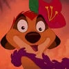 Mr.Timon