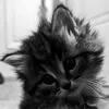 You_kill_me
