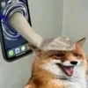 Werilon