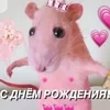 Капризный сырок