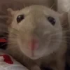 BayTi