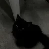 K_Horomi