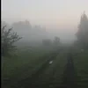 Gystou tyman